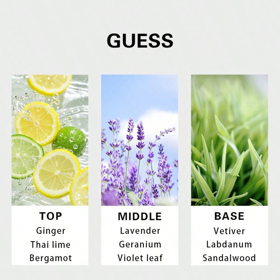 Guess Forever Eau De Toilette  - Perfume Fragrance Notes reseña y precio
