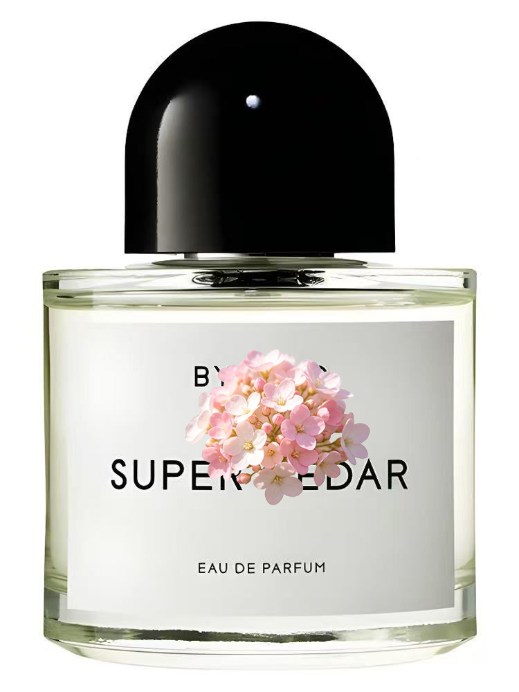 Eau de Parfum Unisex 100ml 3.4 - Perfume Fragrance Dupe reseña y precio