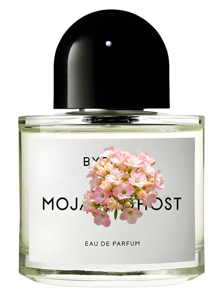 Eau de Parfum Unisex 100ml 3.4 - Perfume Fragrance Dupe reseña y precio